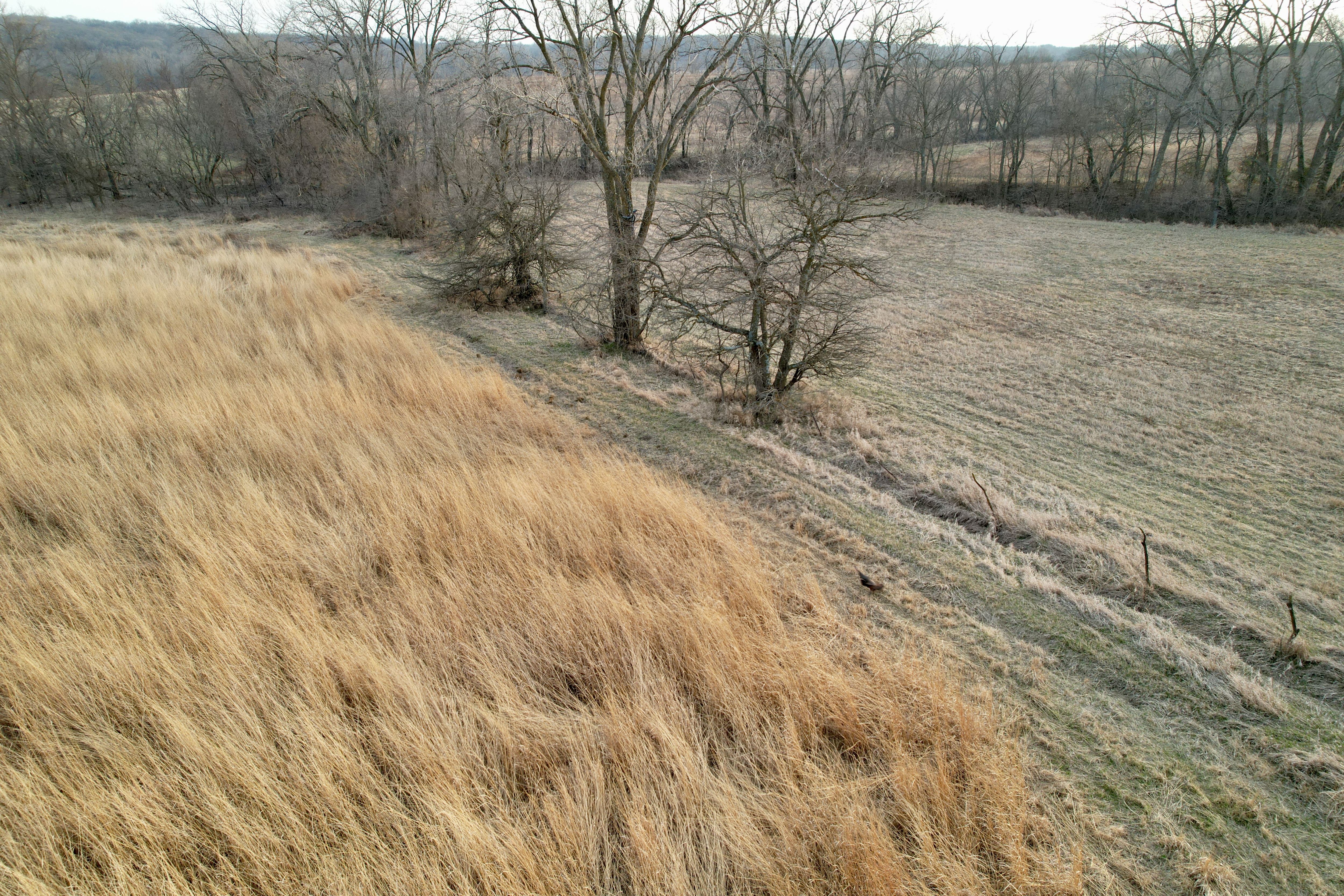 Listing Photo: Photo Mar 25 2026, 6 46 02 PM